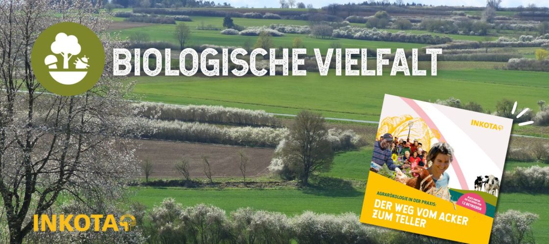 agrarökologie biologische vielfalt